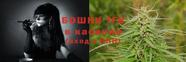 дмт Арсеньев
