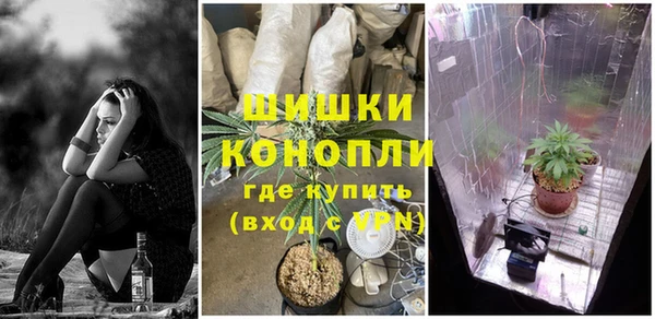 jwh Алзамай