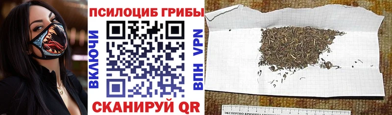 Псилоцибиновые грибы мицелий  Суровикино 